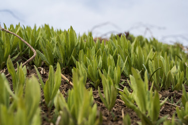 Similar image 21405263