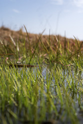 Similar image 21405264