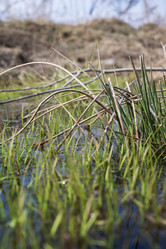 Similar image 21405265