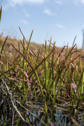 Similar image 21405266