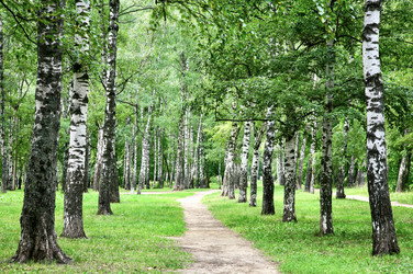 Similar image 21400120