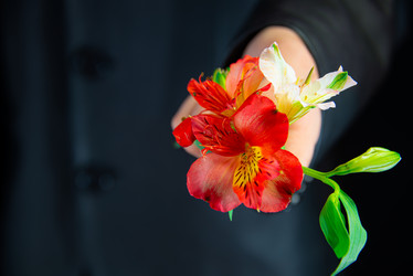 Similar image 21400128