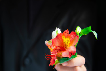 Similar image 21400129