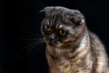 Similar image 21400130