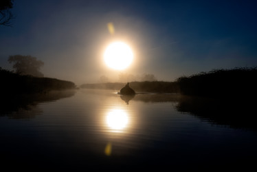 Similar image 21400131