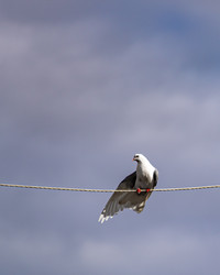 Similar image 21402808