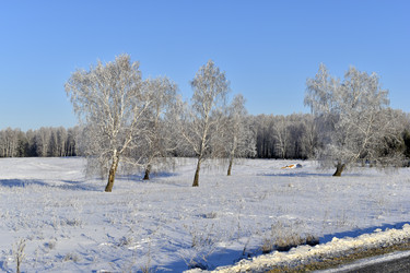 Similar image 21400136