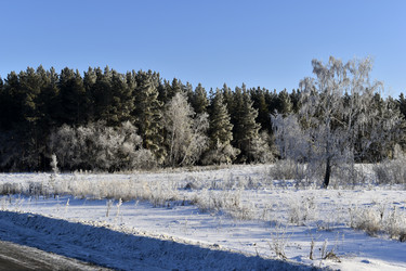 Similar image 21400137