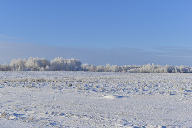 Similar image 21400140