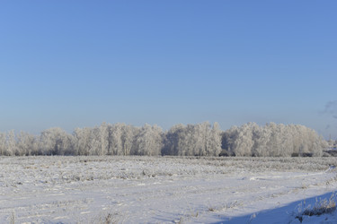 Similar image 21400141