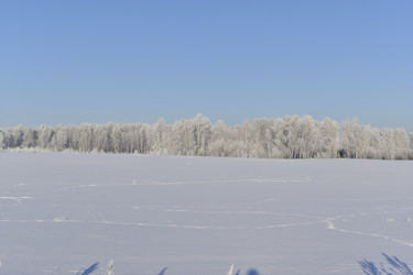 Similar image 21400143