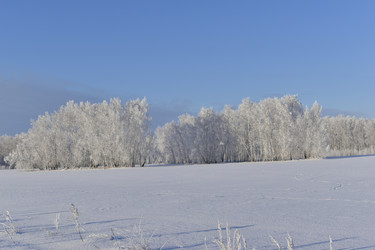 Similar image 21400144