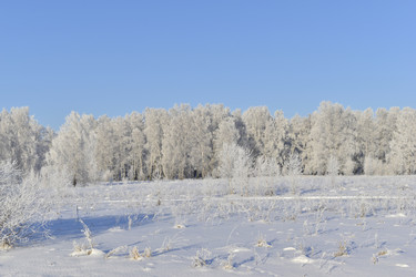 Similar image 21400145