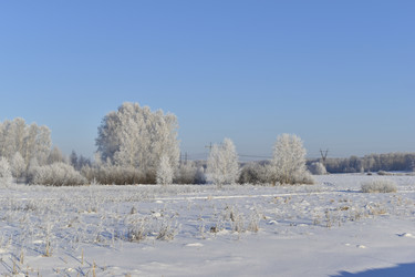 Similar image 21400148