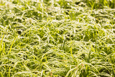 Similar image 21400318