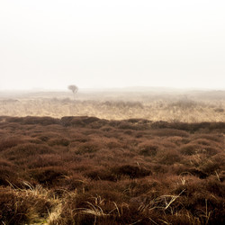 Similar image 21400320