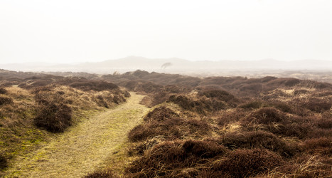 Similar image 21400321