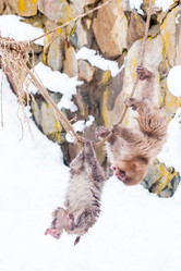 Similar image 21400322