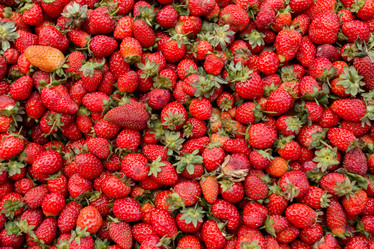 Similar image 21400325