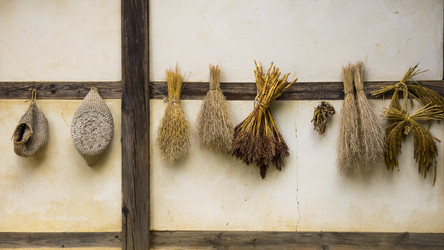 Similar image 21400339