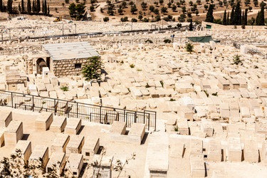 Similar image 21400356