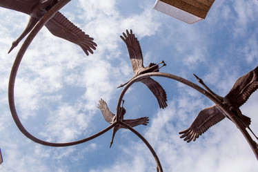 Similar image 21403491