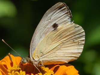 Similar image 21402834