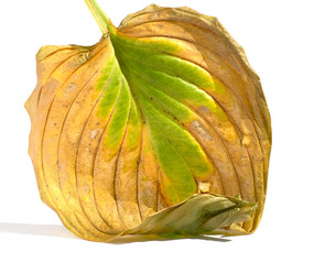 Similar image 21402836