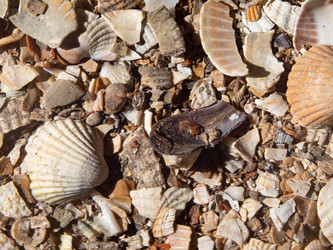 Similar image 21402846