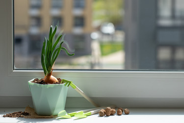 Similar image 21407466