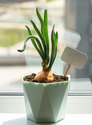 Similar image 21407467