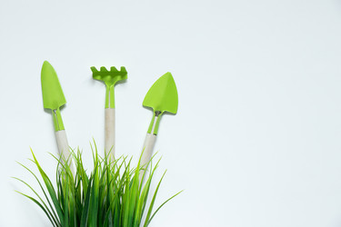 Similar image 21407468