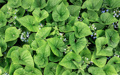 Similar image 21405136