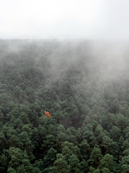 Similar image 21405137