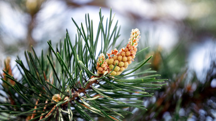 Similar image 21405138