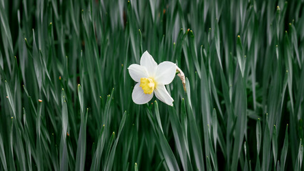 Similar image 21405139