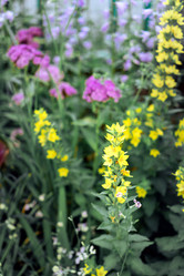 Similar image 21405162