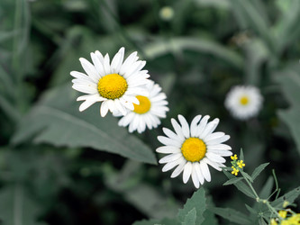 Similar image 21405164