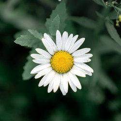 Similar image 21405165