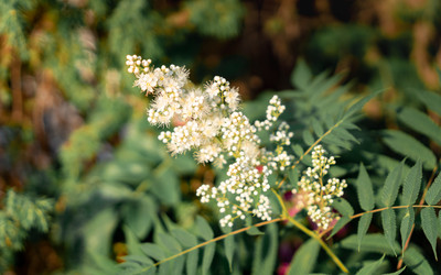 Similar image 21405167