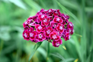 Similar image 21405169