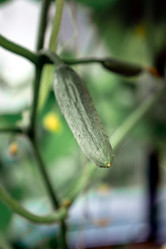 Similar image 21405170