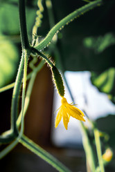 Similar image 21405172