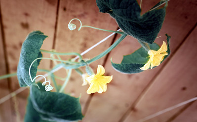 Similar image 21405173