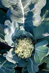 Similar image 21405174