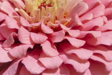 Similar image 21402853