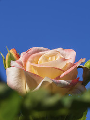 Similar image 21402854