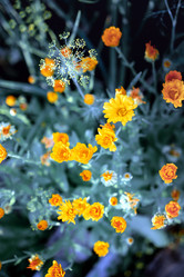 Similar image 21405178