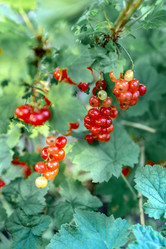 Similar image 21405179