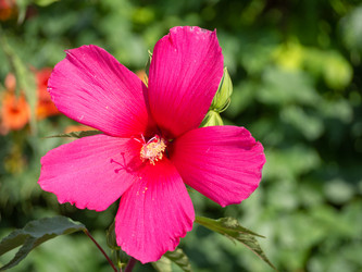 Similar image 21402864